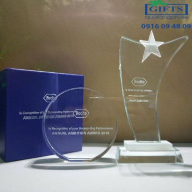 Kỷ Niệm Chương - Roche 5 Year Service Award