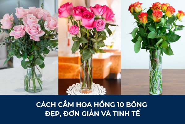 Cách Cắm Hoa Hồng 10 Bông Đẹp