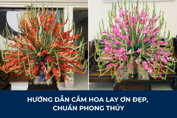 Hướng Dẫn Cắm Hoa Lay Ơn Đẹp