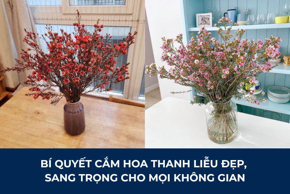 Cắm Hoa Thanh Liễu Đẹp