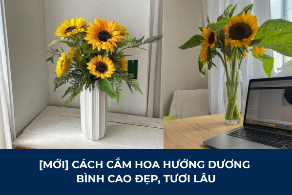 [MỚI] Cách Cắm Hoa Hướng Dương Bình Cao Đẹp, Tươi Lâu