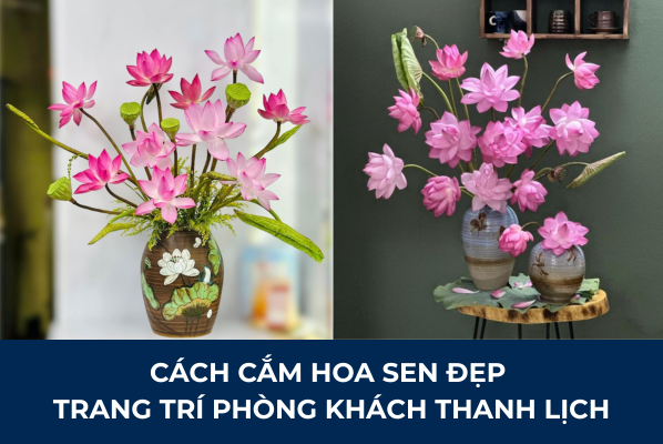 cách cắm hoa sen