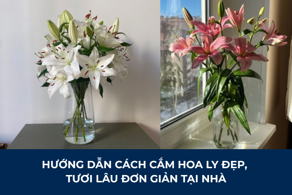 cách cắm hoa ly đẹp