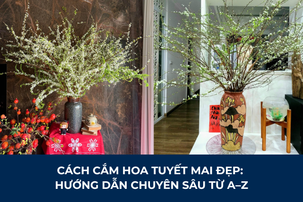Cách Cắm Hoa Tuyết Mai
