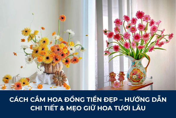 Cách Cắm Hoa Đồng Tiền Đẹp