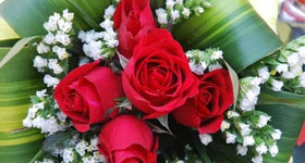 Bật mí các cách cắm hoa hồng và ý nghĩa số lượng bông