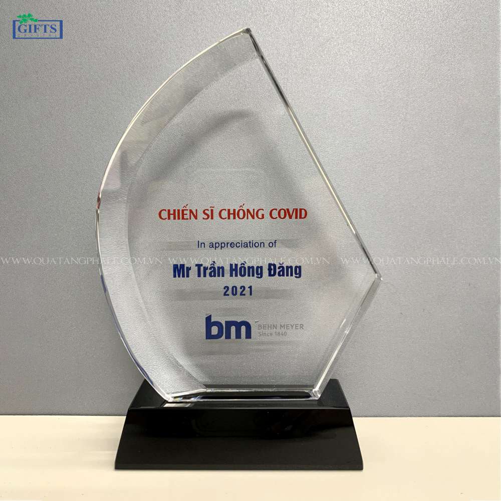 Kỷ niệm chương SO-181D