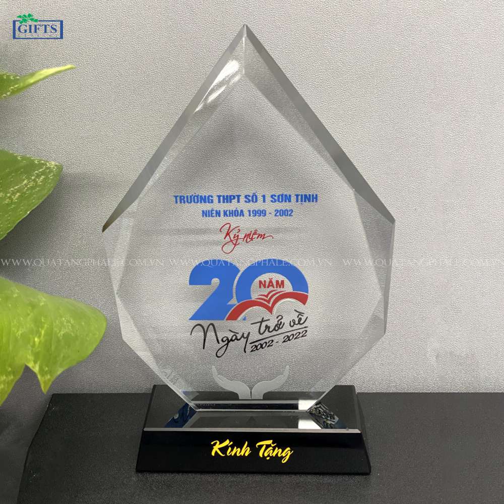 Kỷ niệm chương SO-206D