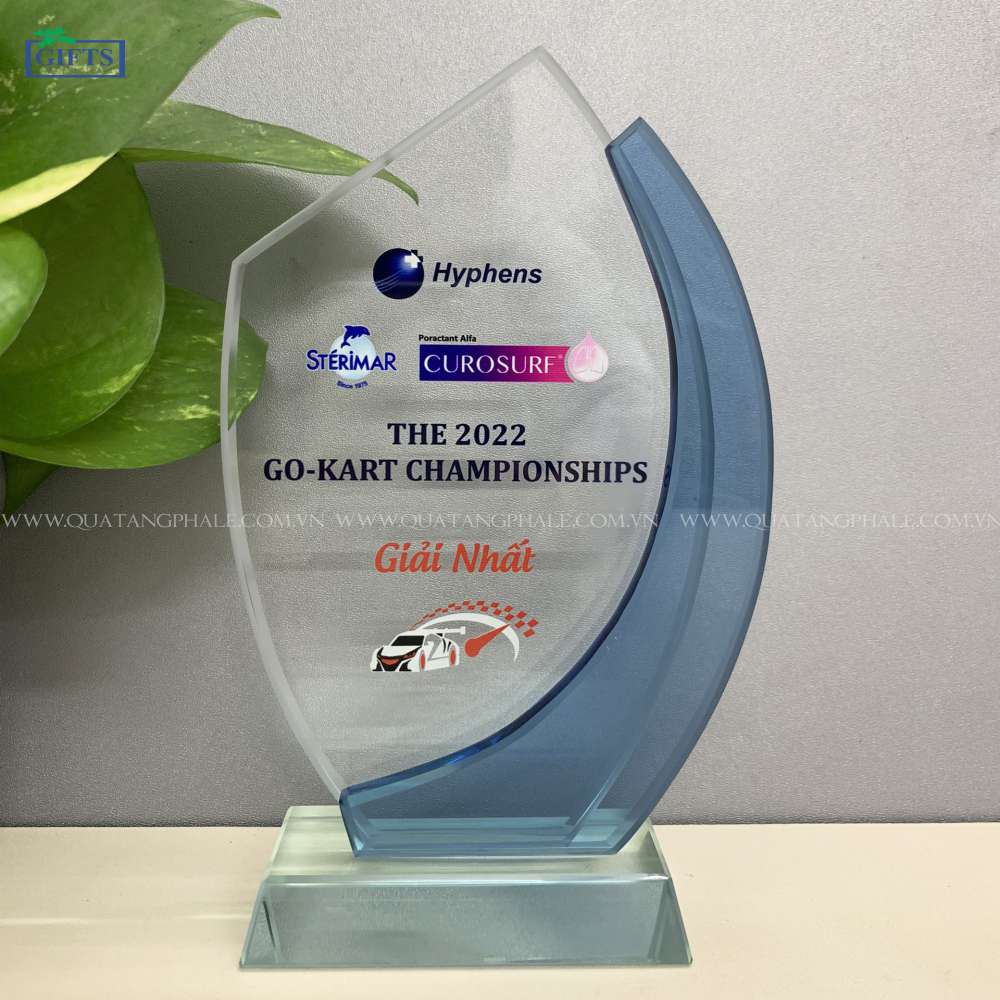 Kỷ niệm chương SO-208