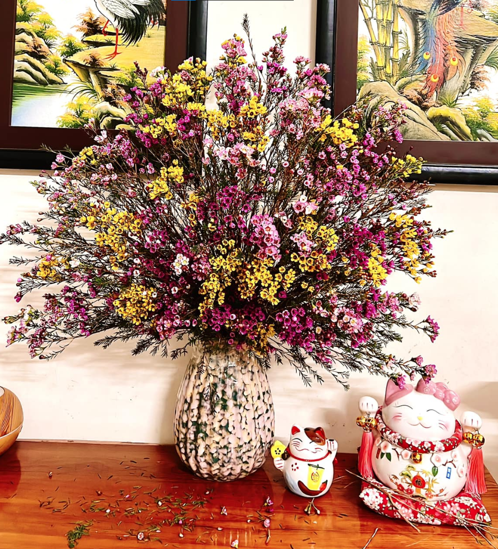 Dáng tỏa chữ V với bình trụ cao