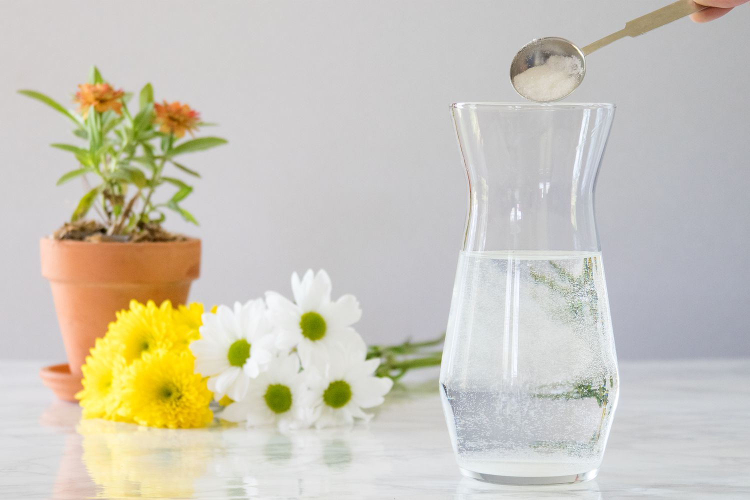 Công thức chất dưỡng hoa DIY tại nhà