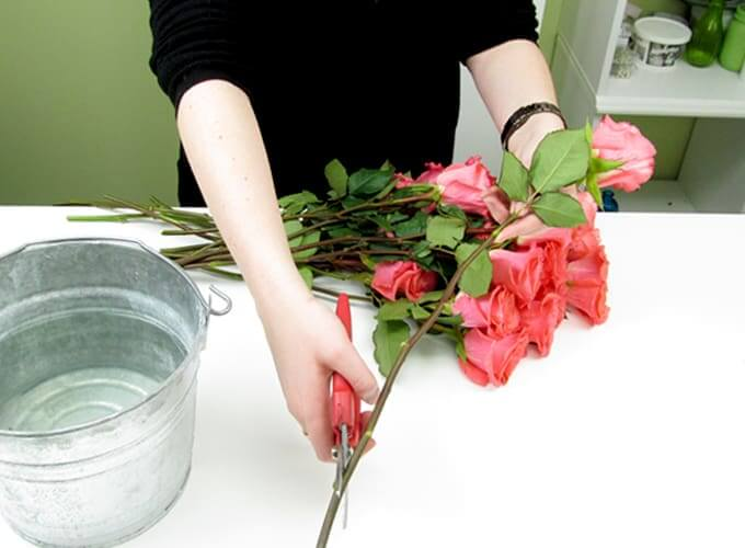 Mẹo giúp hoa sau khi cắm được tươi lâu