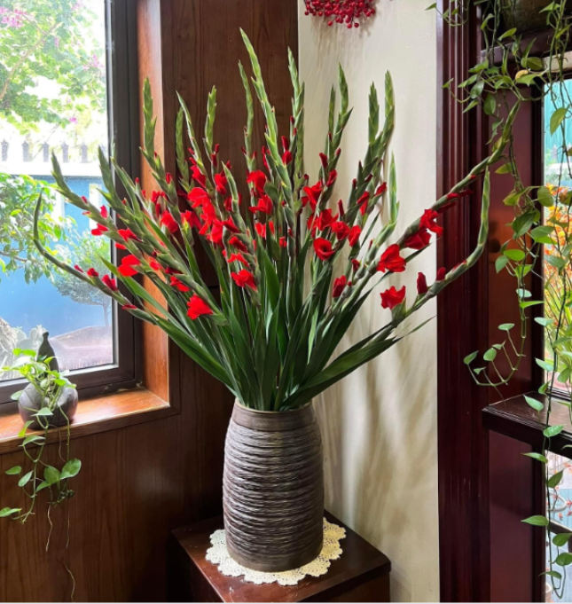 Cắm hoa lay ơn đơn giản